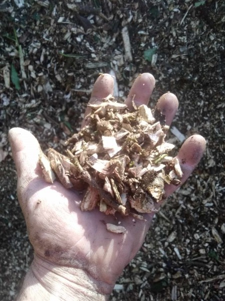 Bois_de_chauffage