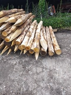 Piquet en bois Mayenne