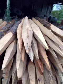 Vente de pieux Mayenne