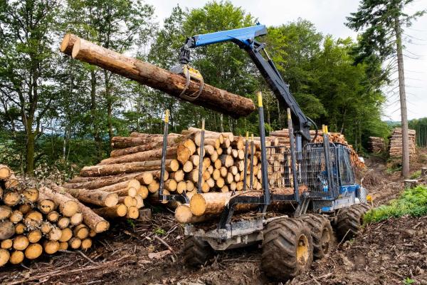 Débardage forestier Miré